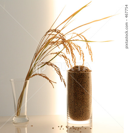 Inaho image Rice panning and threshing rice 2 467754