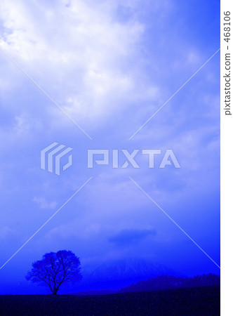 大農場的早晨霧 468106