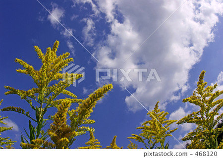 Aozora and Seita Kawaddachi Saw Aozora and Seita Kawaddachi Saw 468120