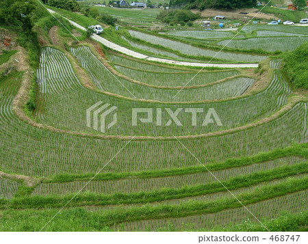 Hase山谷的水稻梯田 Hase山谷的水稻梯田 468747