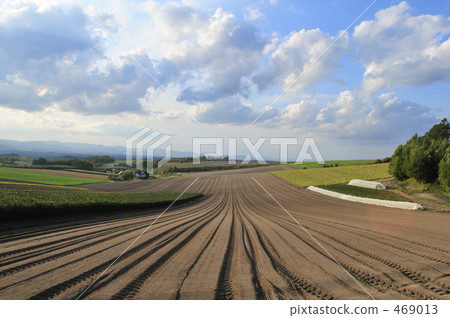 秋天晴朗的小山 469013