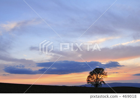 美瑛在日落時分 469018