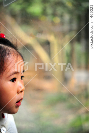 那是......？ 469023