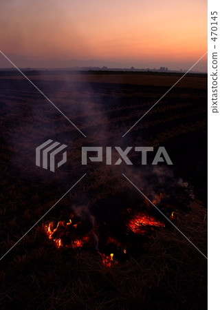 洗牌養殖 洗牌養殖 470145