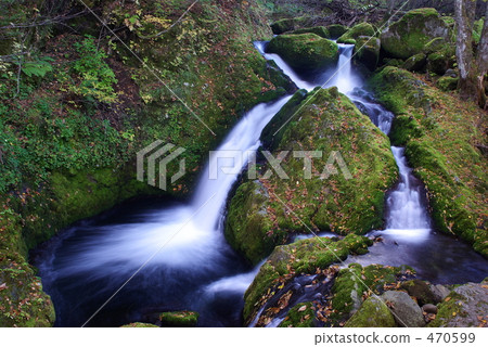 Momiji瀑布 Momiji瀑布 470599