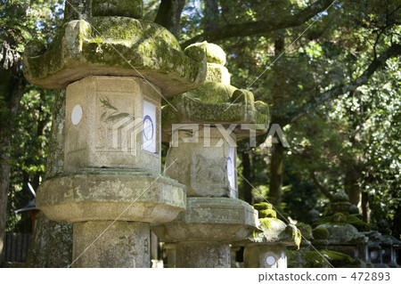 Kasuga Taisha's stone lantern 472893