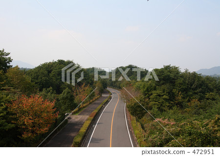 Autumn 1 Trail 472951