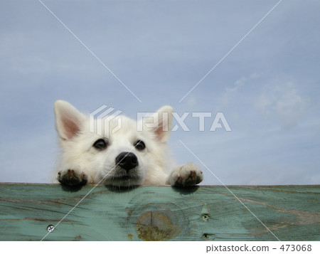 要看 要看 473068