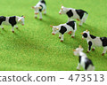 Cow  473513
