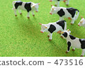 Cow  473516