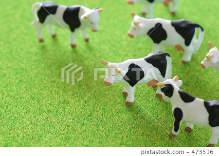 一頭牛 一頭牛 473516