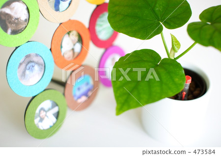 Plant and photo frame 473584