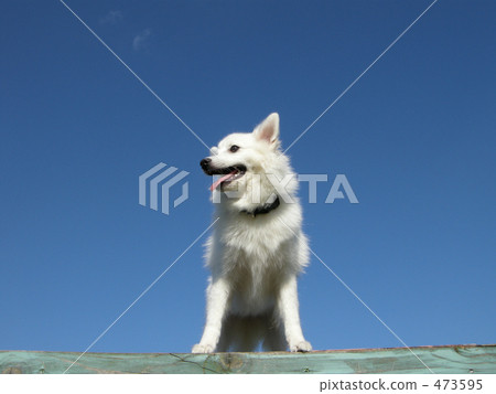 我能看得遠 我能看得遠 473595