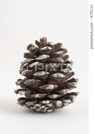 松球 松球 474131