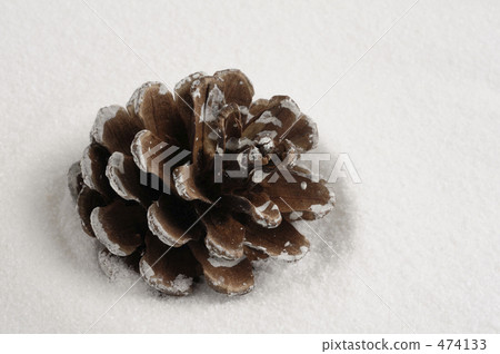 松果 松果 474133