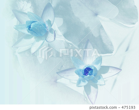 睡蓮.Ⅱ 睡蓮.Ⅱ 475193