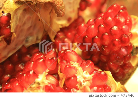 Brightness of pomegranate Brightness of pomegranate 475446