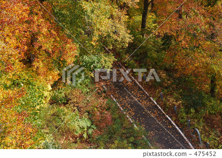 秋葉隧道 秋葉隧道 475452