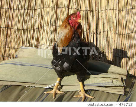 Chicken chicken chicken Chabo Yufuin chicken 475712