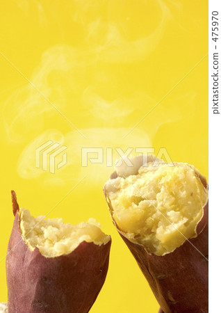 甘藷 甘藷 475970