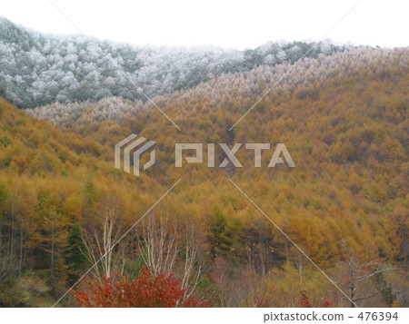 First snow First snow 476394