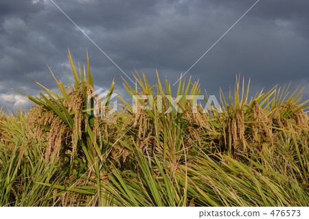 Cold damage Cold damage 476573