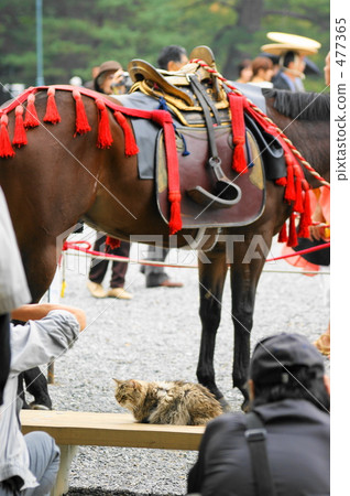Horses and cats of the period festival Horses and cats of the period festival 477365