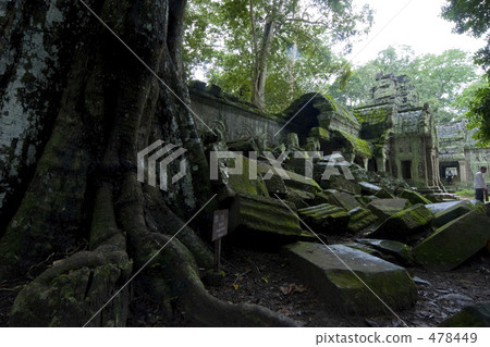 塔普倫 塔普倫 478449