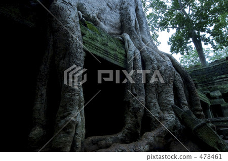 Ta Prohm 478461