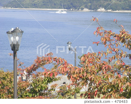 Fall of Setouchi 478483