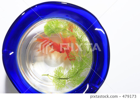 Fish bowl Fish bowl 479173
