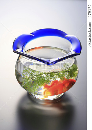 Fish bowl 479179