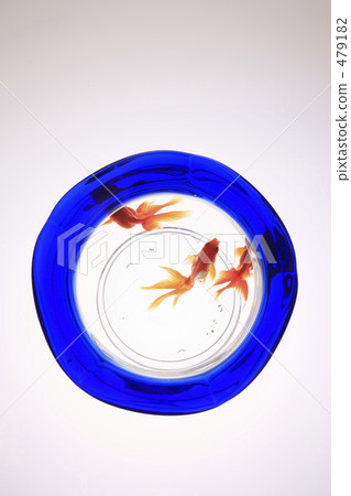 魚缸 魚缸 479182