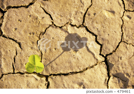 乾燥和發芽 乾燥和發芽 479461