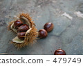 iga, chestnut, chestnuts 479749