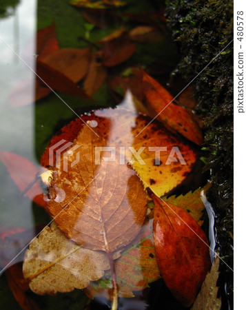 安靜的秋天02 480578