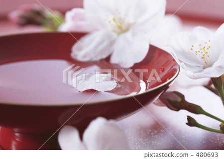 Sakura and liquor 480693