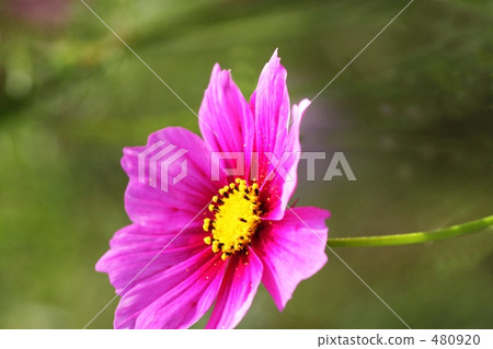 宇宙 宇宙 480920