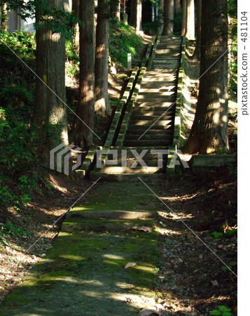 通過陽光照射陽光的方法 481104