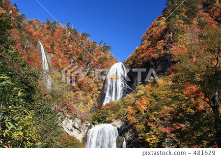 秋天的秋天 481629