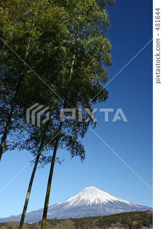 竹林和富士山 481644