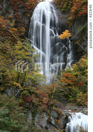 Kinshu的Ansei瀑布 481646