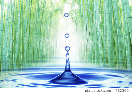 Bamboo groves and water drops 482566