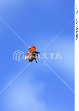 Flying Ladybird 482568