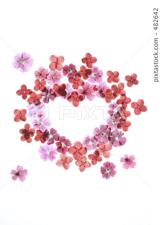 Heart shaped floret 482642
