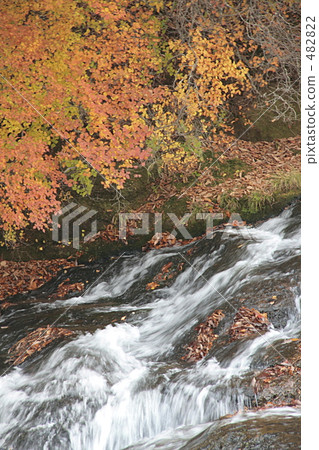 Leaf turning leaves and flowing 482822