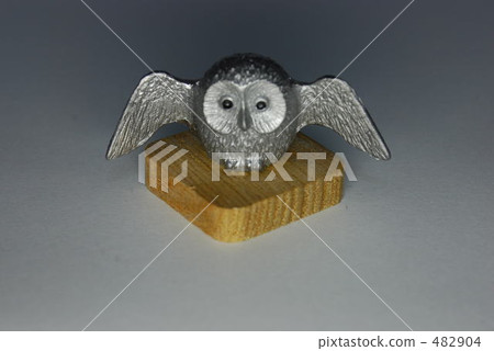 Owl 482904