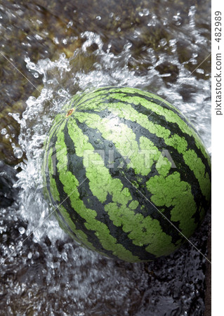 西瓜在河裡放鬆 西瓜在河裡放鬆 482989