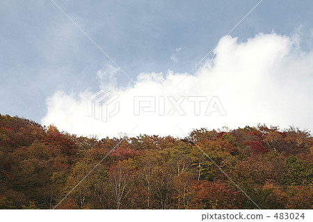 Autumn leaves and blue sky from Irohazaka 483024