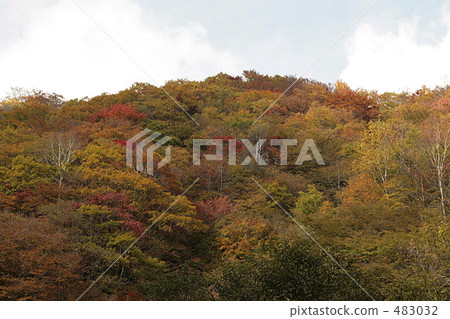 Autumn leaves and blue sky from Irohazaka 483032